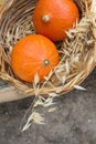 Two Small Bright Orange Heirloom Red Kuri Pumpkins in Wicker Basket Wild Dry Oats. Autumn Fall Atmosphere. Kinfolk