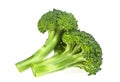 Two small broccoli cabbage isolated on a white background Royalty Free Stock Photo