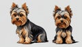 Two small brown and black yorkie dogs