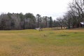 Two small brown horses grazing on green and yellow grass on the farm surrounded by bare winter trees and a sprinkler with blue sky Royalty Free Stock Photo