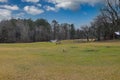 Two small brown horses grazing on green and yellow grass on the farm surrounded by bare winter trees and a sprinkler with blue sky Royalty Free Stock Photo