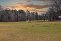 Two small brown horses grazing on green and yellow grass on the farm surrounded by bare winter trees and a sprinkler with blue sky Royalty Free Stock Photo