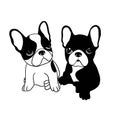 Two small bulldog Royalty Free Stock Photo