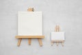 Two small canvases on the easels
