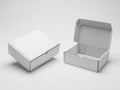 Two small cardboard boxes isolated on white background Royalty Free Stock Photo