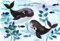 Two small cartoon dark blue whales play in the turquoise blue ocean against the background of algae. Cute baby illustration