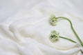 Two small flowers on white silk fabric background, copy space Royalty Free Stock Photo