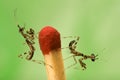 Two small mantises and match close-up on green bac