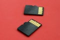 Two small micro SD memory cards lie on a red background. A small and compact data and information store