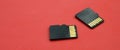 Two small micro SD memory cards lie on a red background. A small and compact data and information store