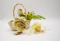 Two small newborn chick , basket with bouquet of flowers , egg with yellow bow on white background. Concept of Easter, birthday, Royalty Free Stock Photo