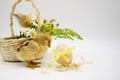 Two small newborn chick , basket with bouquet of flowers , egg with yellow bow on white background. Concept of Easter, birthday, Royalty Free Stock Photo