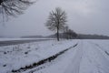 Eifel roads, one clear one snow covered and more snow falling down Royalty Free Stock Photo