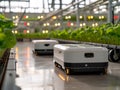 Two small robots are driving through a greenhouse filled with plants, AI
