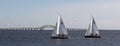 Two small sailboats competing in a winter regatta sailing north with the Great South Bay bridge in the background Royalty Free Stock Photo