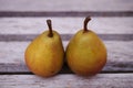 Two small Seckel pears in a row