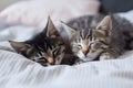 Two small striped domestic kittens sleeping.