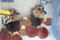 Two small teddy bears in shop window