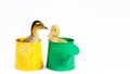 two small yellow and variegated duckling in green metal waterings can on white background, selective focus