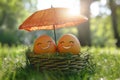 Two smiling eggs under umbrella in bird nest Royalty Free Stock Photo