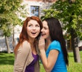 Two smiling girls whispering gossip Royalty Free Stock Photo