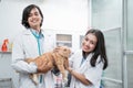 two smiling vets looking at camera while checking cat Royalty Free Stock Photo