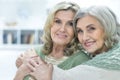 two smiling women Royalty Free Stock Photo