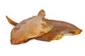 Two smoked headless flatfish Royalty Free Stock Photo