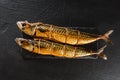 Two smoked mackerel fish on slate stone background. Mediterranean food, herring fish, seafood, close up. Royalty Free Stock Photo