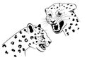 Two snarling leopard Royalty Free Stock Photo