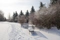 Two snow-covered benches near the footpath in the park Royalty Free Stock Photo