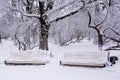 Two snow-covered benches