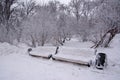 Two snow-covered benches