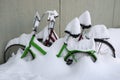 two snow covered bikes in winter Royalty Free Stock Photo