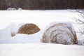 Two snow covered straw bales Royalty Free Stock Photo