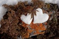 Two snow hearts on rock Royalty Free Stock Photo