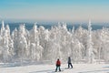 Two snowboarder and snovy white trees on winter mountains Royalty Free Stock Photo