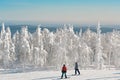 Two snowboarder and snovy white trees on winter mountains