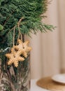 two snowflakes ginger christmas cookies pine vase