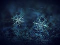 Two snowflakes glowing on dark blue textured background Royalty Free Stock Photo