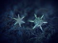 Two snowflakes glowing on dark blue textured background Royalty Free Stock Photo