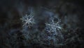 Two snowflakes glowing on dark textured background Royalty Free Stock Photo