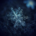 Real snowflake glowing on dark textured background Royalty Free Stock Photo