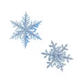 Two snowflakes isolated on white background Royalty Free Stock Photo