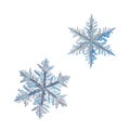 Two snowflakes isolated on white background