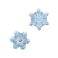 Two snowflakes isolated on white background Royalty Free Stock Photo