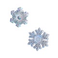 Two snowflakes isolated on white background Royalty Free Stock Photo