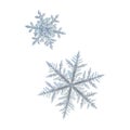 Two snowflakes isolated on white background Royalty Free Stock Photo