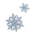 Two snowflakes isolated on white background Royalty Free Stock Photo