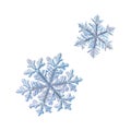 Two snowflakes isolated on white background Royalty Free Stock Photo